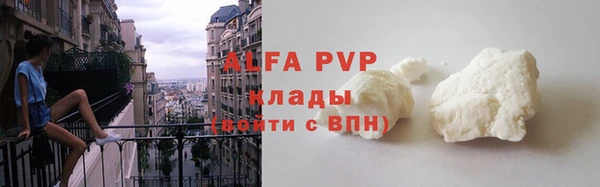крисы Ельня