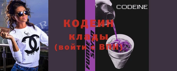 крисы Ельня