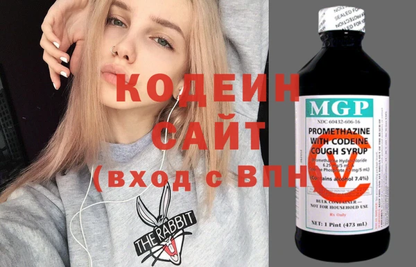 крисы Ельня