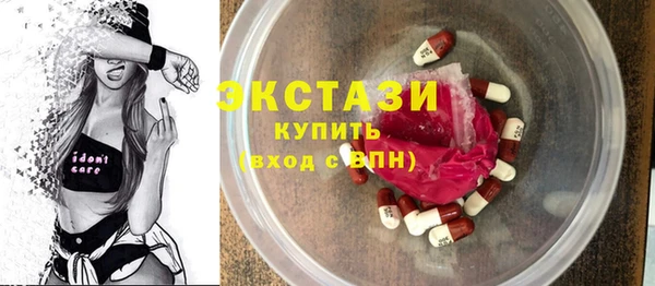 крисы Ельня
