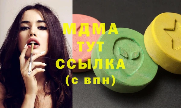 крисы Ельня