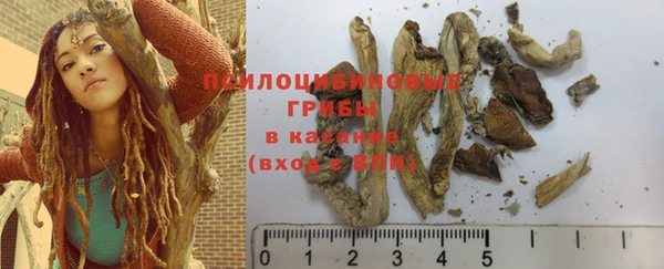 крисы Ельня