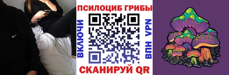 Купить закладки  Болгар  Псилоцибиновые грибы Psilocybe 
